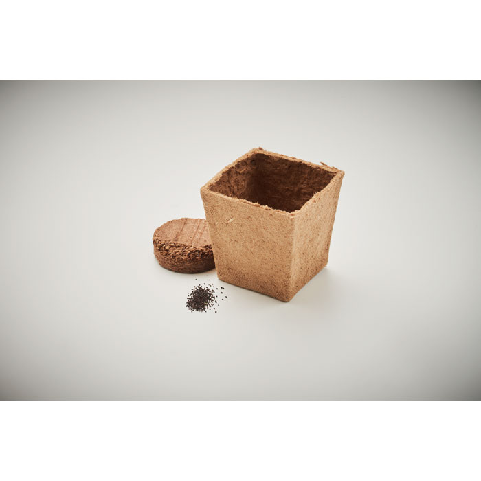 Kit de graines de menthe Kit de graines de menthe