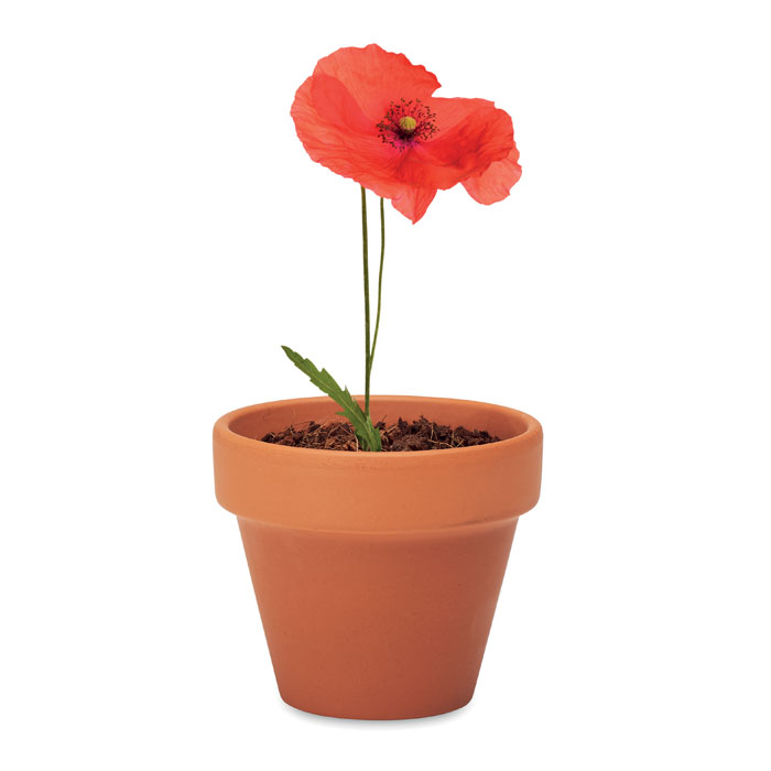 Pot graines de coquelicot Pot graines de coquelicot