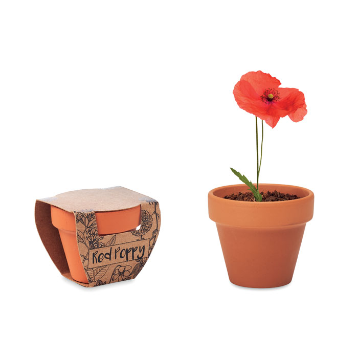 Pot graines de coquelicot Pot graines de coquelicot