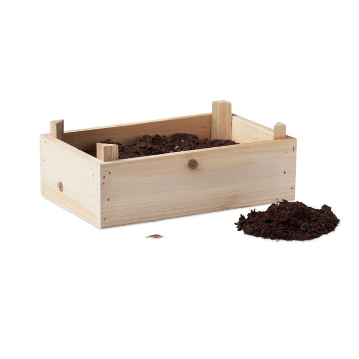 Graines de tomates dans caisset Graines de tomates dans caisset