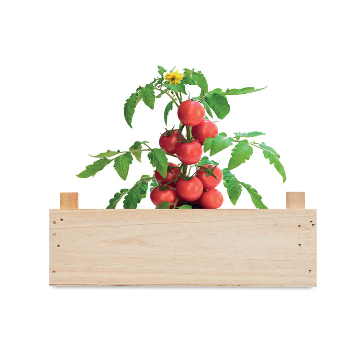 Graines de tomates dans caisset Graines de tomates dans caisset