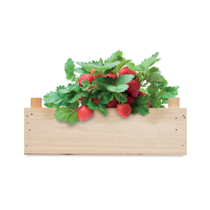 Graines de fraises dans une cai Graines de fraises dans une cai