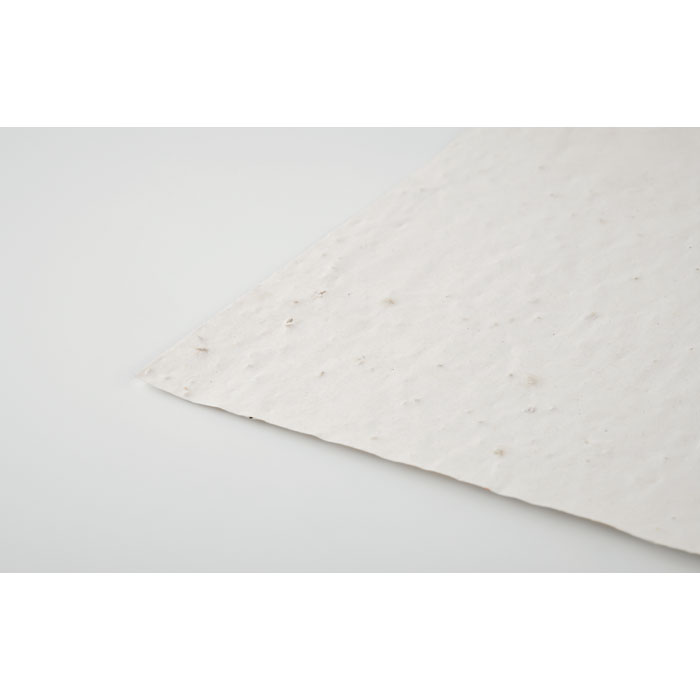 Papier A4 graines de fleurs Papier A4 graines de fleurs
