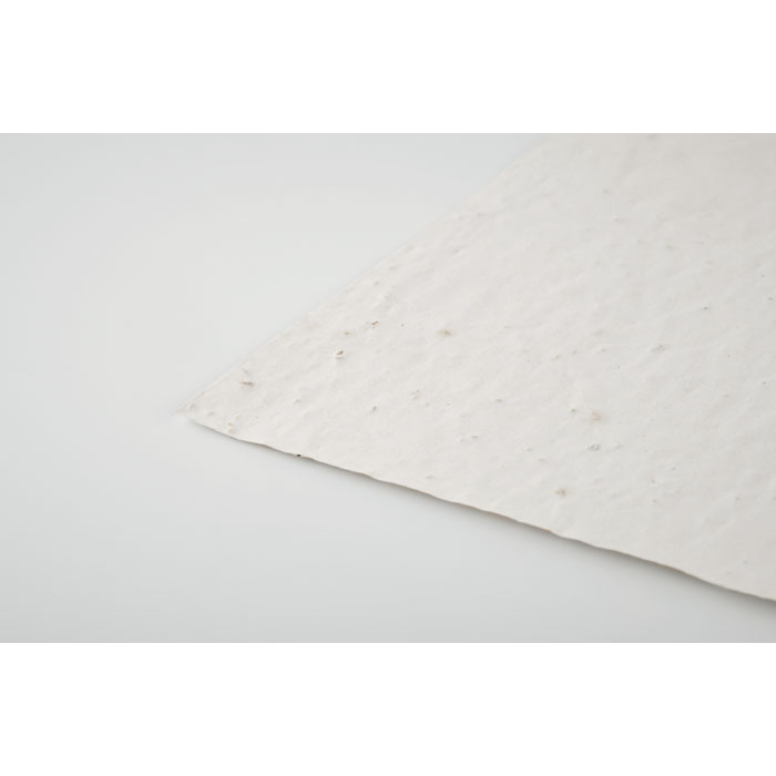 Papier A5 graines de fleurs Papier A5 graines de fleurs