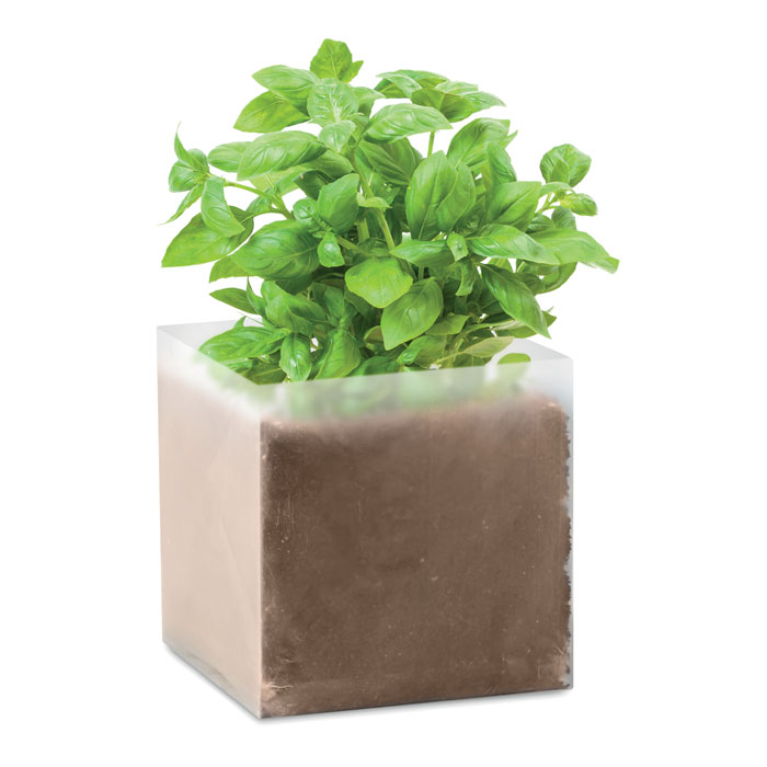 Substrat avec graines Basilic. Substrat avec graines Basilic.