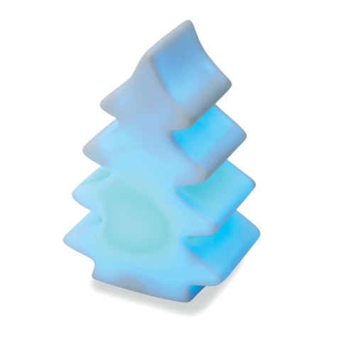Lumière changeante  sapin