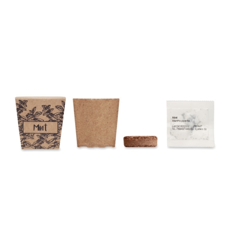 Kit de graines de menthe