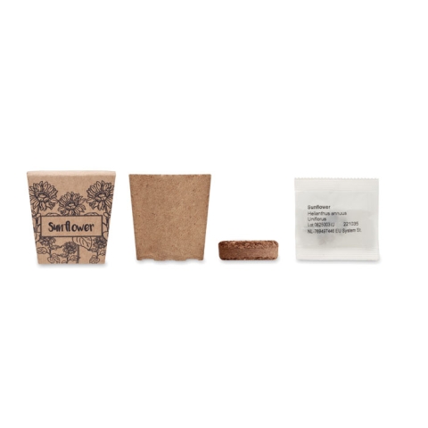 Kit de tournesol