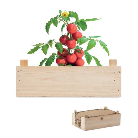 Graines de tomates dans caisset