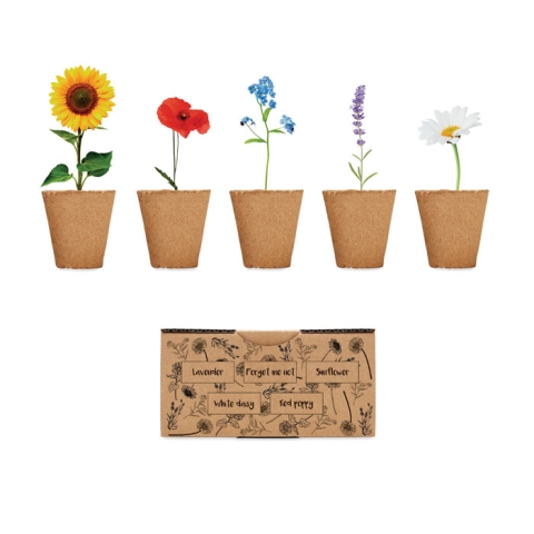 Kit de culture de fleurs