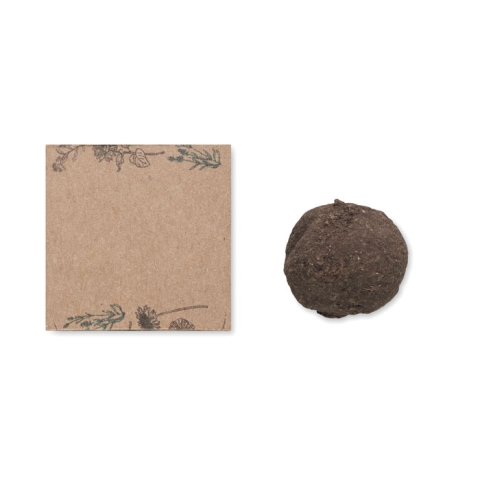 Boule graines de fleurs sauvages