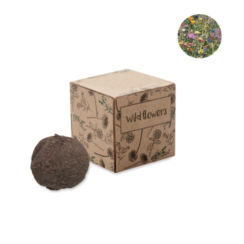Boule graines de fleurs sauvages