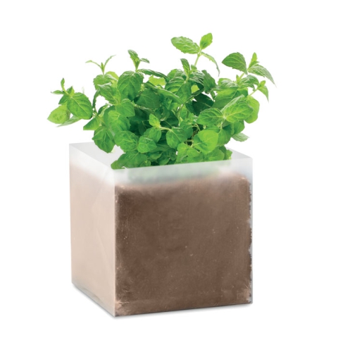 Substrat avec graines Menthe