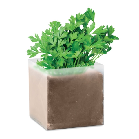 Substrat avec graines Persil