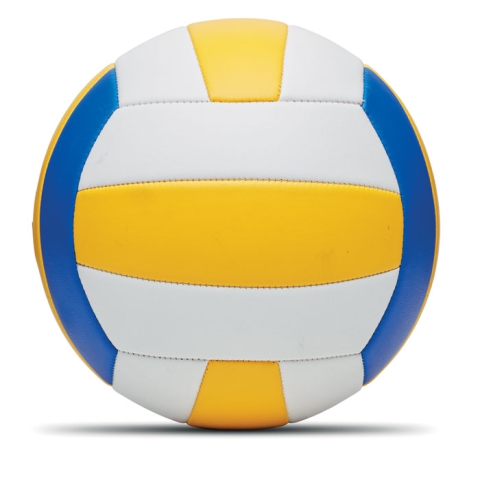 Ballon de volley